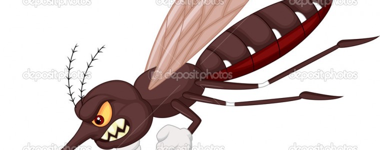depositphotos_35063515-Angry-mosquito-cartoon